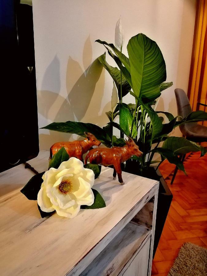 The Sunset Lisbon Flat Διαμέρισμα Εξωτερικό φωτογραφία